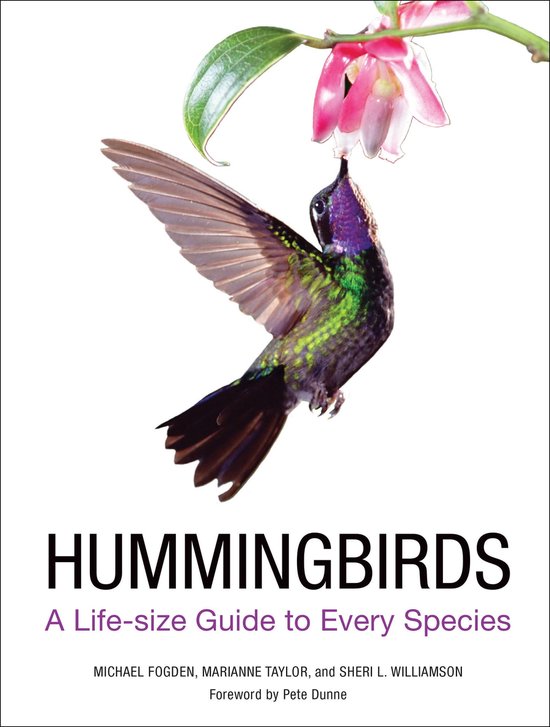 Hummingbirds