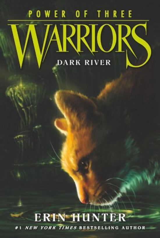 Warriors Power Of 3 No 2 Dark River