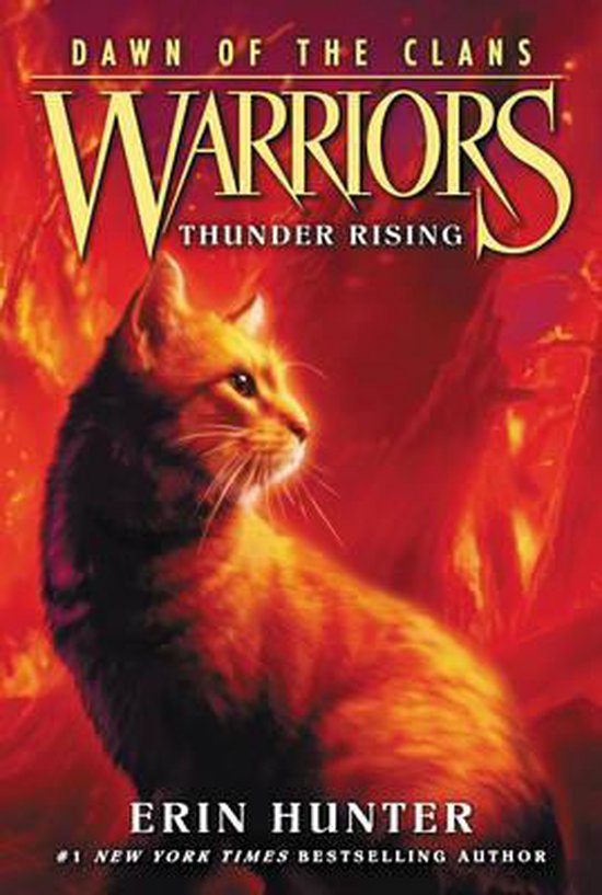 Warriors Dawn Of Clans Bk 2 Thunder Risi