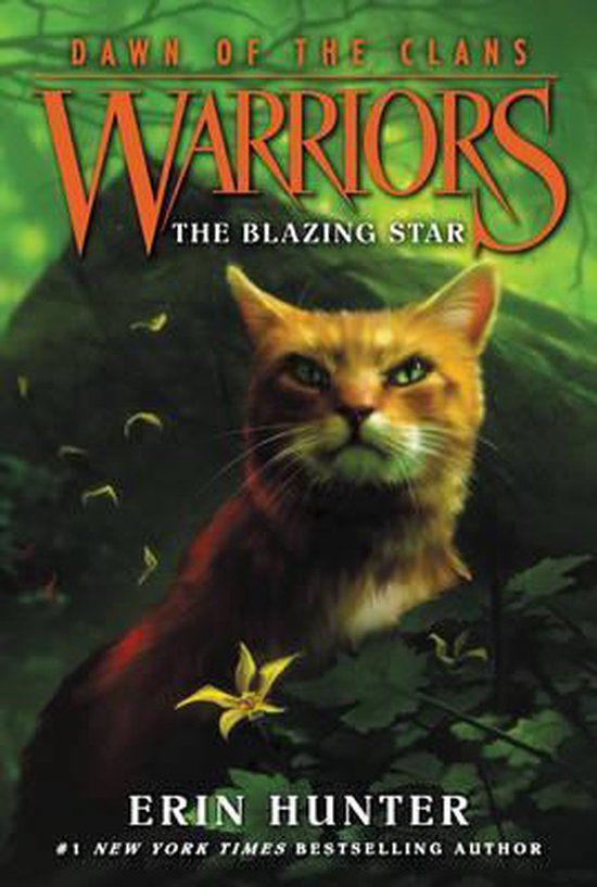 Warriors Dawn Of Clans Bk 4 Blazing Star