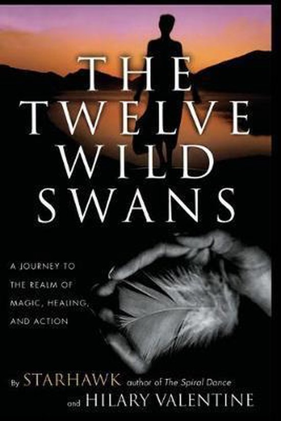 The Twelve Wild Swans