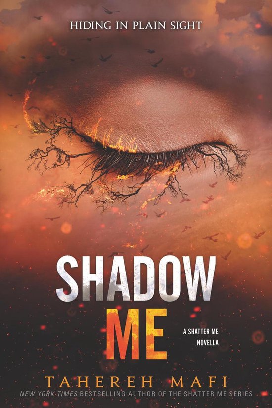 Shatter Me Novella 3 - Shadow Me