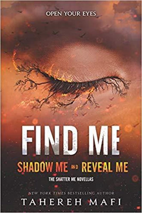 Find Me Shatter Me Novella