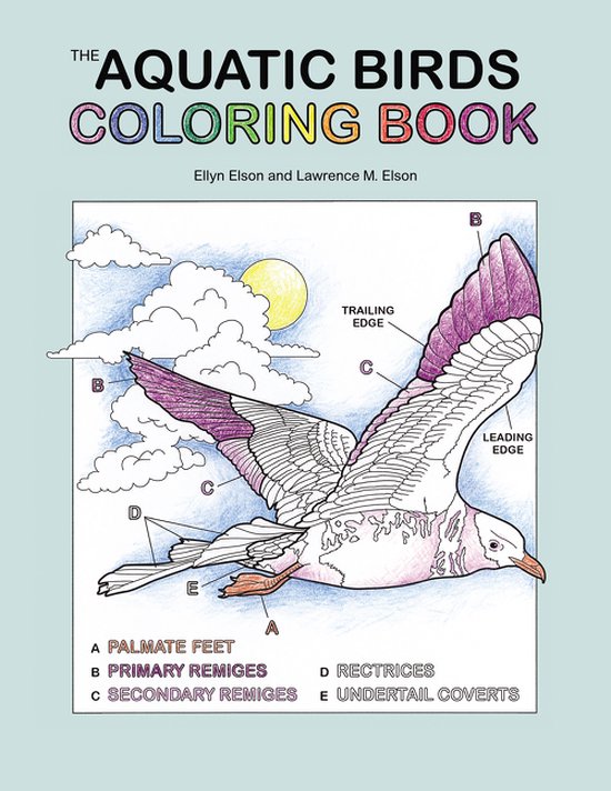 The Aquatic Birds Coloring Book Coloring Concepts