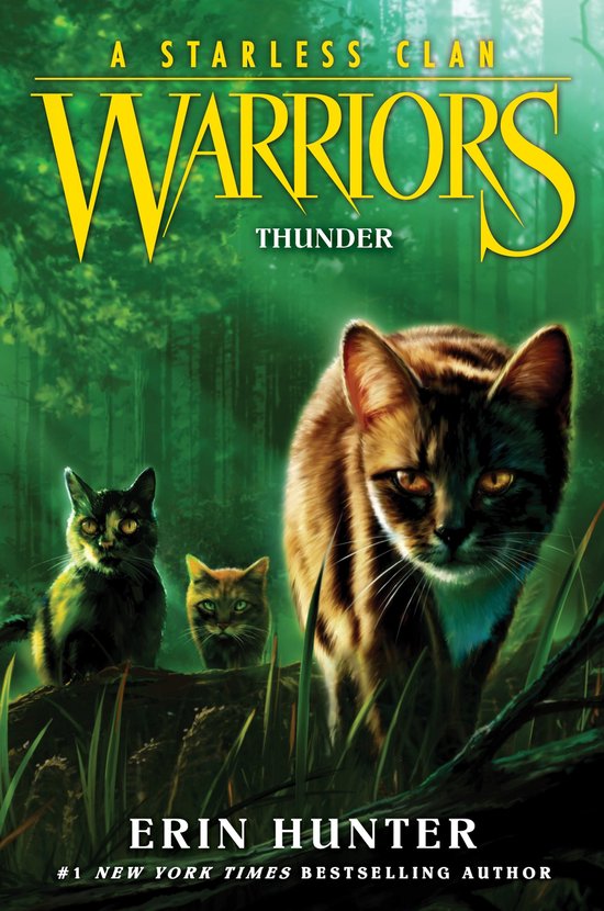 Warriors: A Starless Clan- Warriors: A Starless Clan #4: Thunder