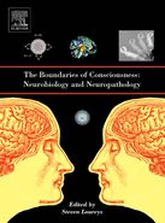 The Boundaries of Consciousness: Neurobiology and Neuropathology