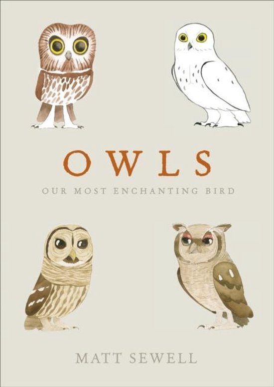 Owls Our Most Enchanting Bird