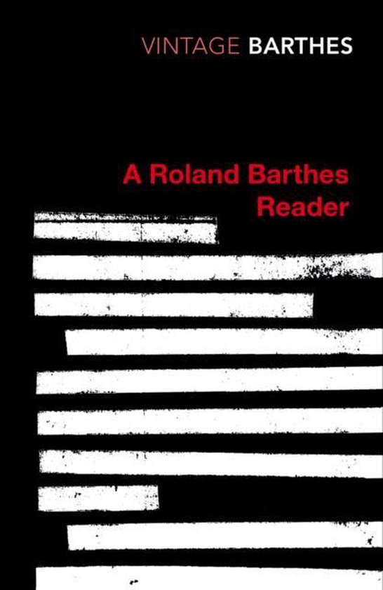 Vintage Classics Roland Barthes Reader