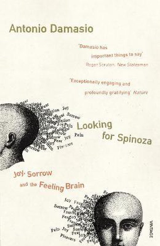 Looking For Spinoza