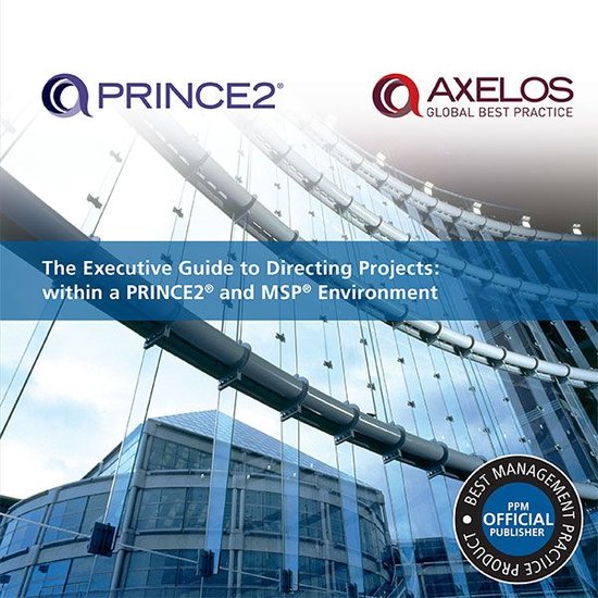 The Executive Guide to Directing Projects: Within a PRINCE2 and MSP Environment