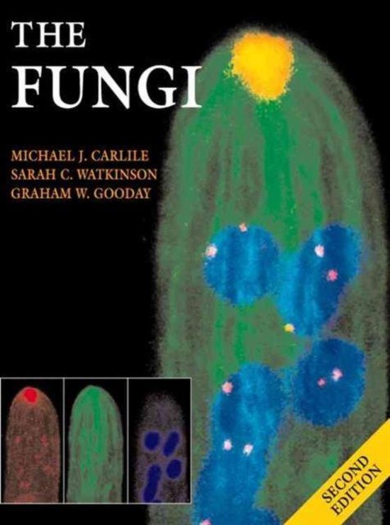 The Fungi