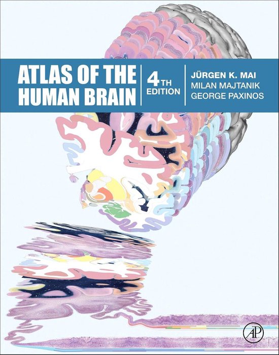 Atlas Of The Human Brain