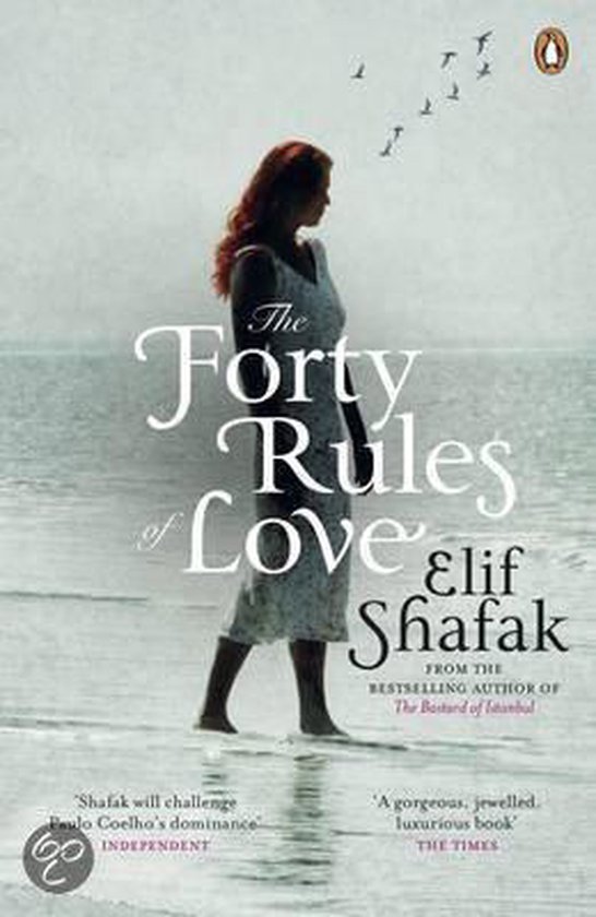 Forty Rules Of Love