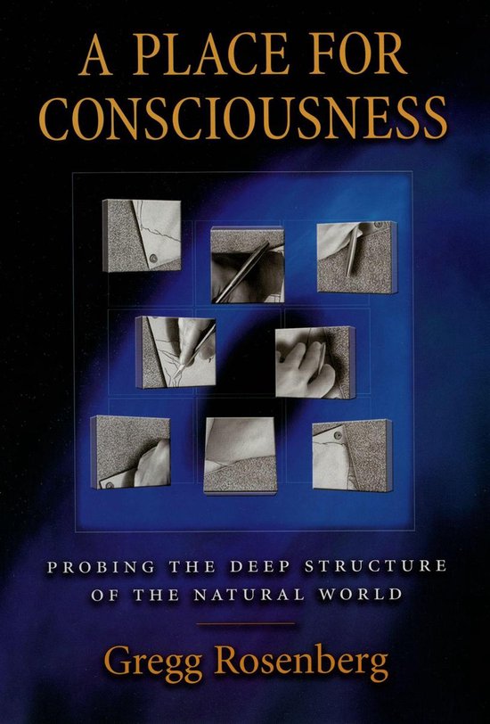 Philosophy of Mind - A Place for Consciousness