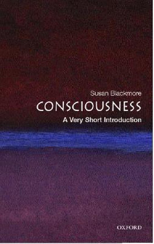 VSI Consciousness