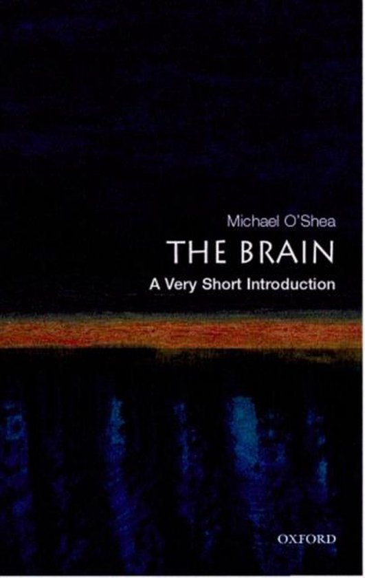 Brain Very Short Introduction