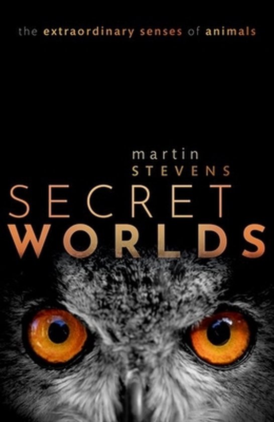 Secret Worlds