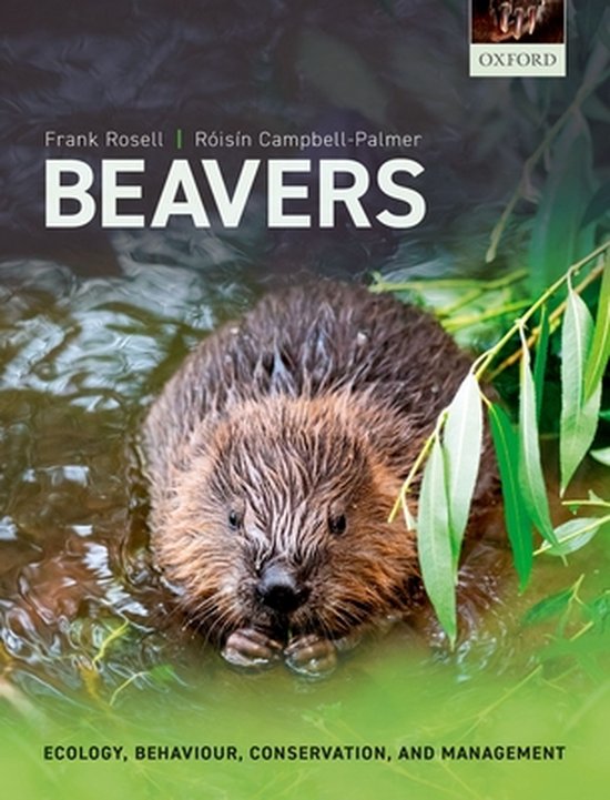 Beavers