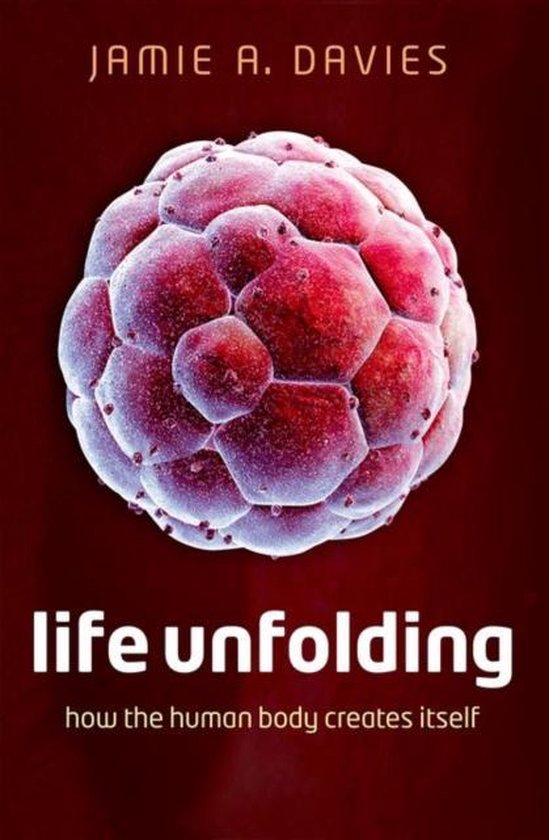 Life Unfolding How The human body create