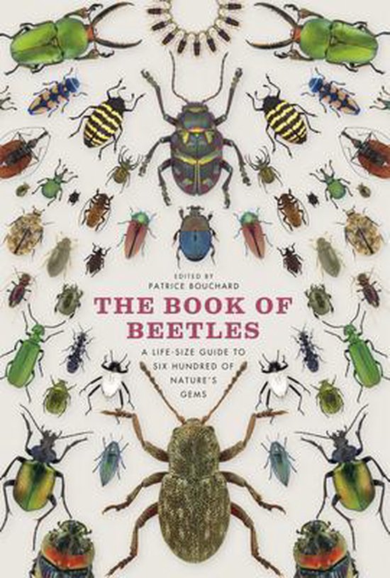 The Book of Beetles