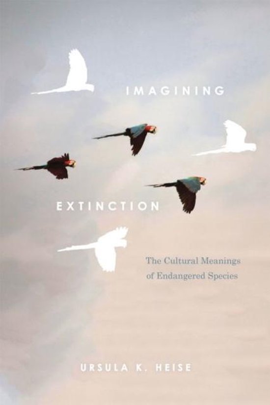 Imagining Extinction