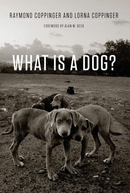 What Is a Dog?