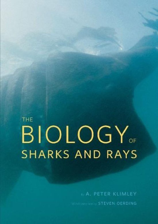 Biology Of Sharks & Rays