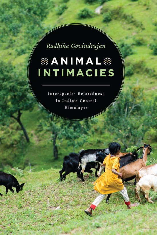 Animal Intimacies