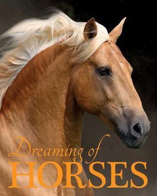 Dreaming of Horses