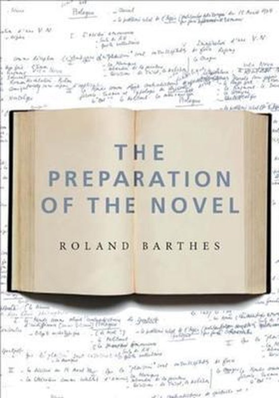 The Preparation of the Novel