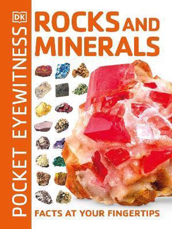 Pocket Eyewitness Rocks and Minerals