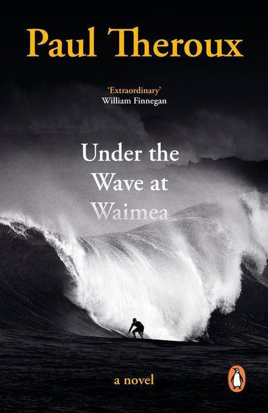 Under the Wave at Waimea