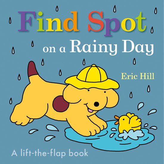 Spot- Find Spot on a Rainy Day