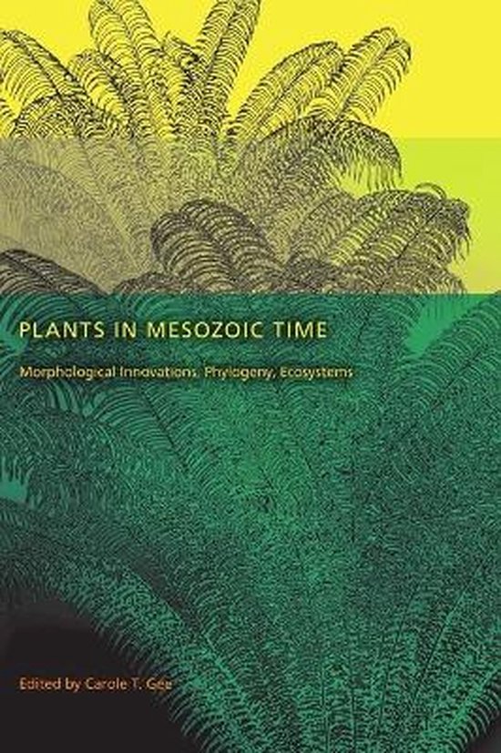 Plants in Mesozoic Time