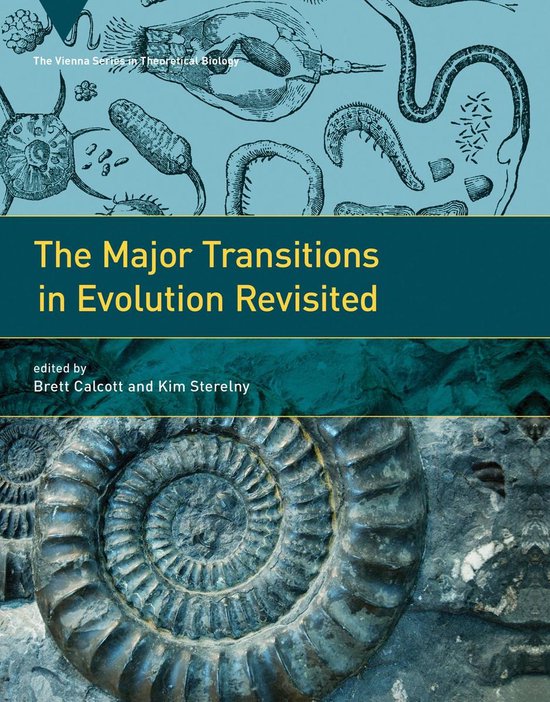 The Major Transitions in Evolution Revisited