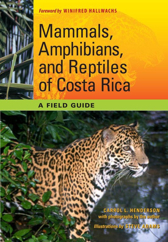 Mammals, Amphibians, and Reptiles of Costa Rica