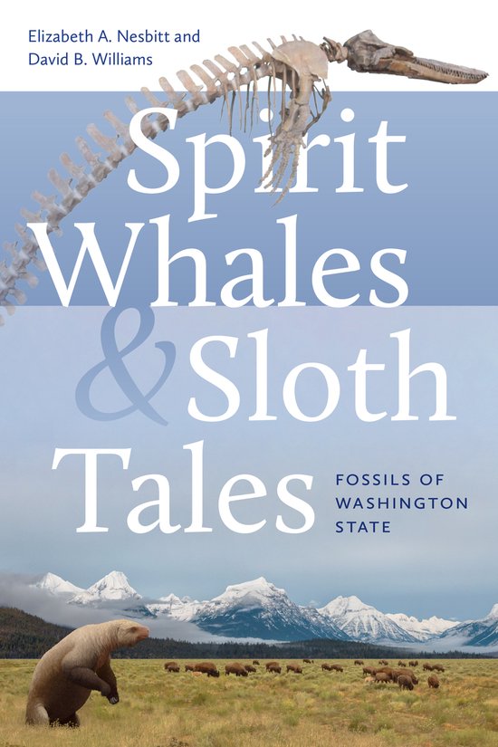 Spirit Whales and Sloth Tales- Spirit Whales and Sloth Tales