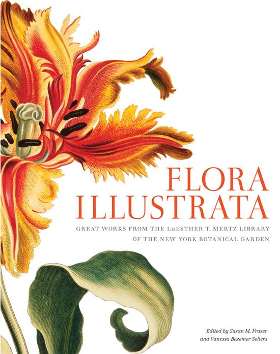 Flora Illustrata