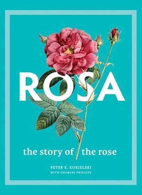 Rosa – The Story of the Rose