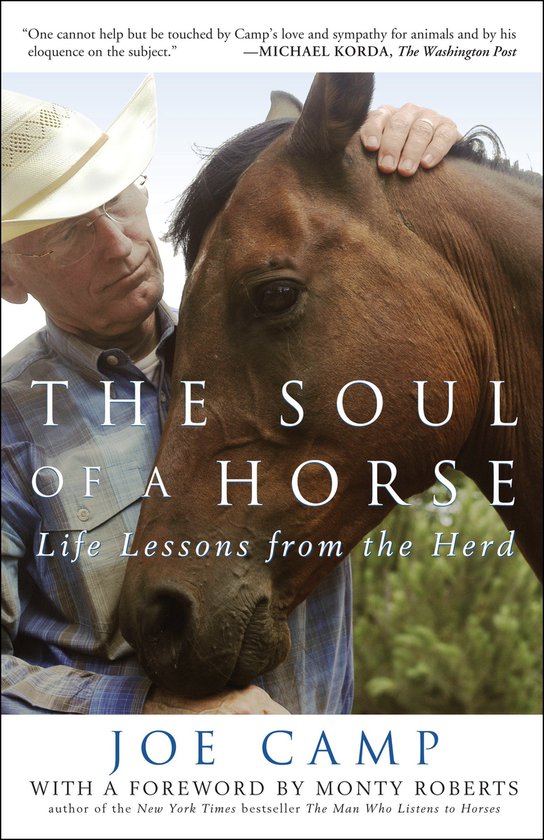 Soul Of A Horse