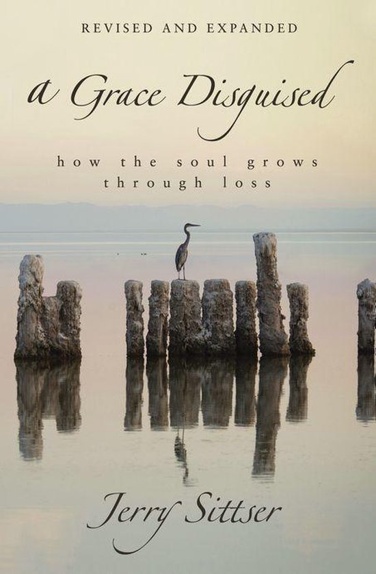 A Grace Disguised Revised and Expanded