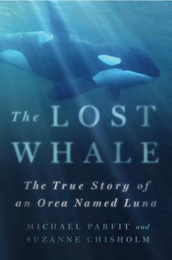 Lost Whale