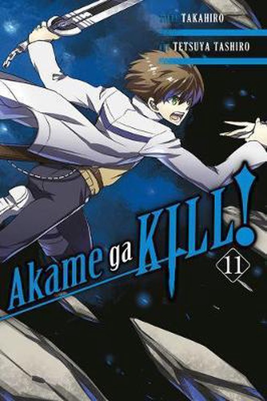 Akame Ga Kill! 11