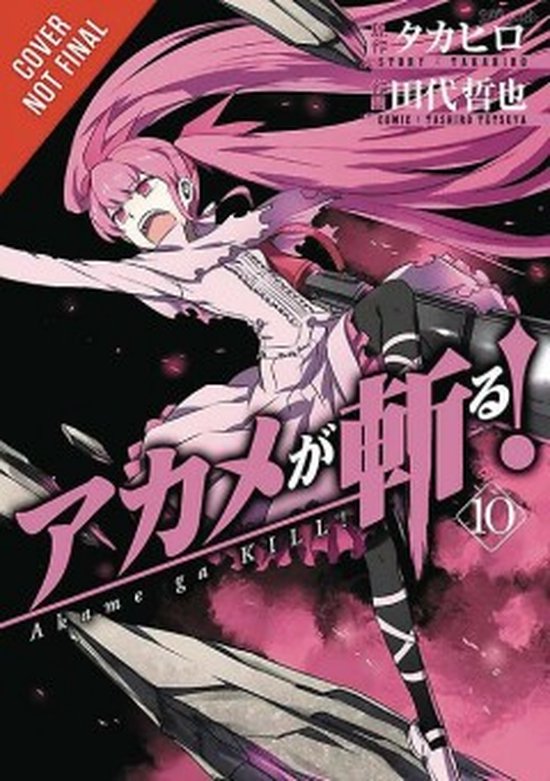 Akame Ga Kill! 10