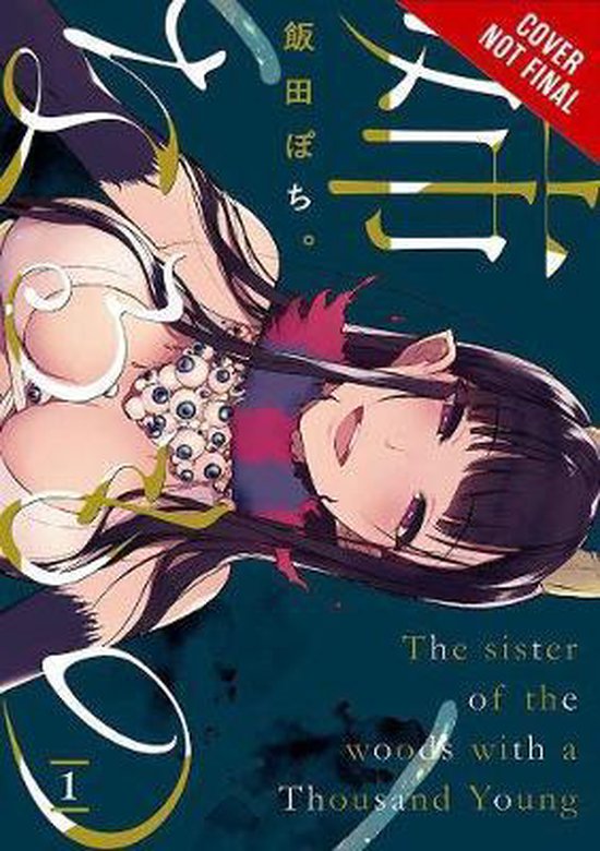 The Elder Sister-Like One, Vol. 1