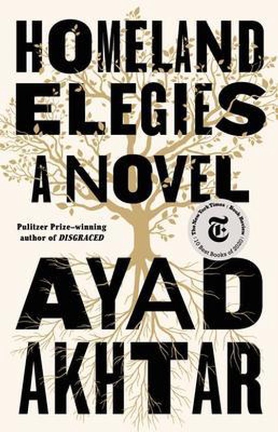 Homeland Elegies A Novel