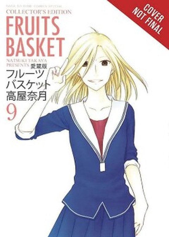 Fruits Basket 9