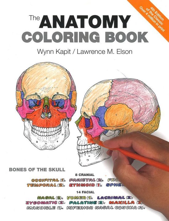 Anatomy Coloring Book 4th