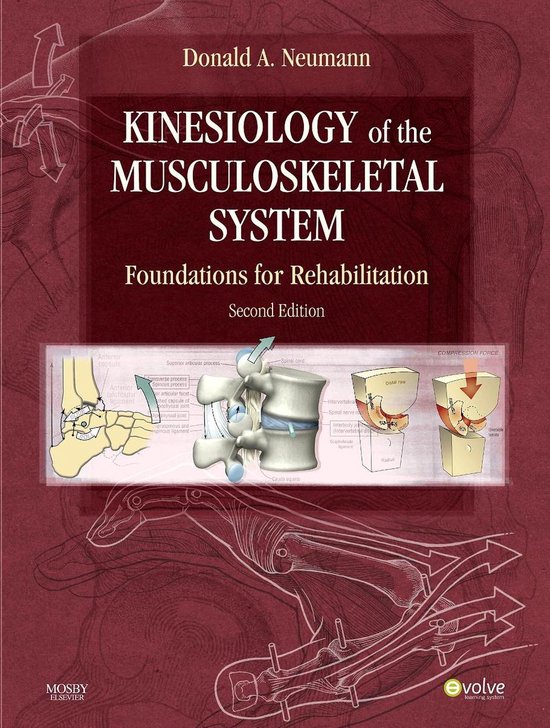 Kinesiology of the Musculoskeletal System