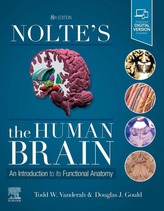 Nolte's The Human Brain